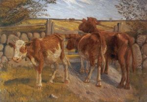 Kalve Ved Et Stengaerde, I Baggrunden Bonde Der Plojer Kalve Ved Et Stengaerde, I Baggrunden Bonde Der Plojer