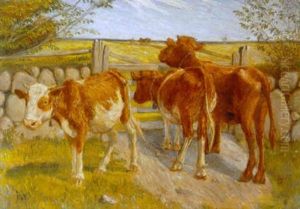Kalve Ved Et Stengaerde, I Baggrunden Bonde, Der Plojer Kalve Ved Et Stengaerde, I Baggrunden Bonde, Der Plojer
