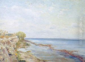 Stranden Pa Ostsiden Bag Holmemandens Vaenge Stranden Pa Ostsiden Bag Holmemandens Vaenge