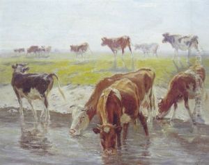 Koer Ved Et Vandhul, Saltholmen Koer Ved Et Vandhul, Saltholmen