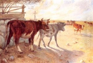 Kalve Ved Vandingsstedet, Saltholm