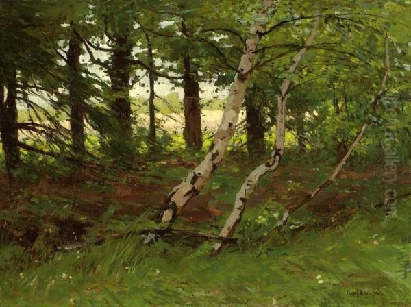 A View Of A Forest - view 1