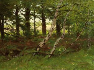 A View Of A Forest by Paul Bodifee