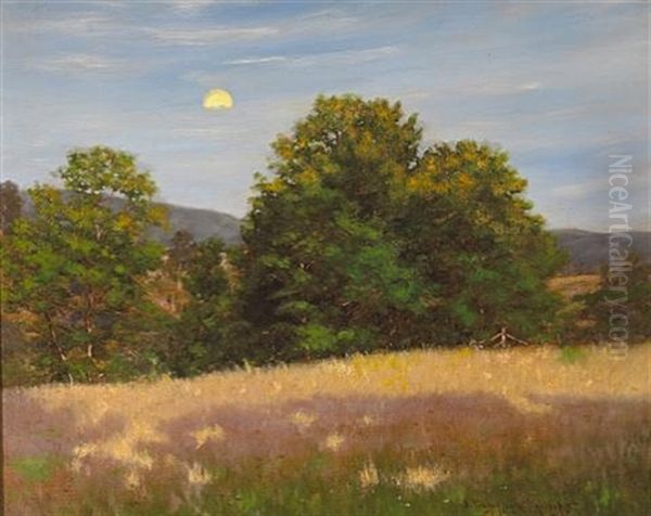 Long Shadows, Late Afternoon, Dover Plains, N.y. - view 1