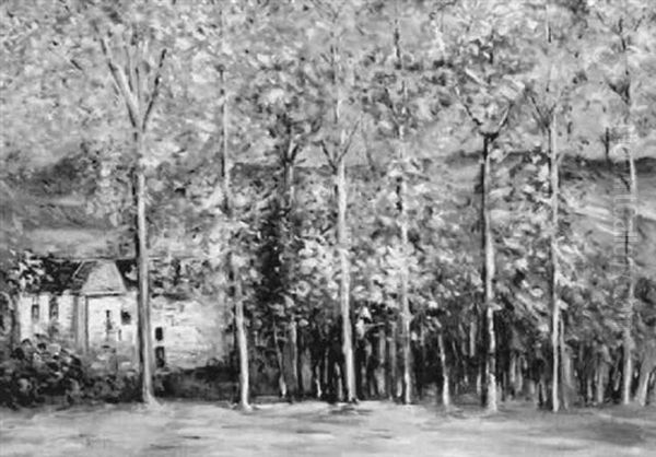 Old Blackie Joe's Homestead - view 1