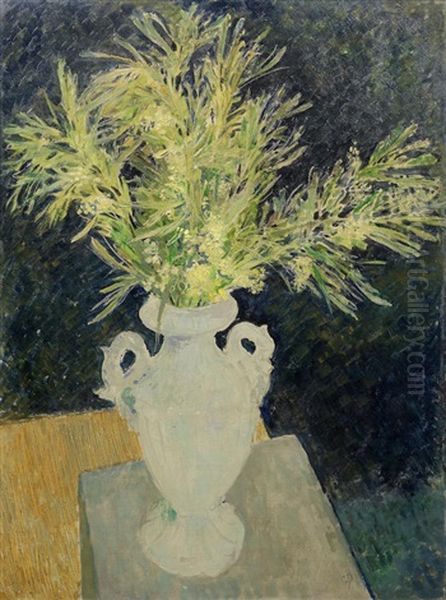 Mimosa - view 1