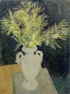 Mimosa