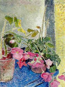 Begonias On A Blue Table