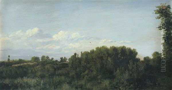 Studio Di Verdi (biellese) - view 1