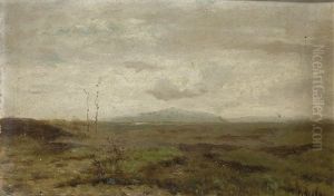 Pianura D'autunno