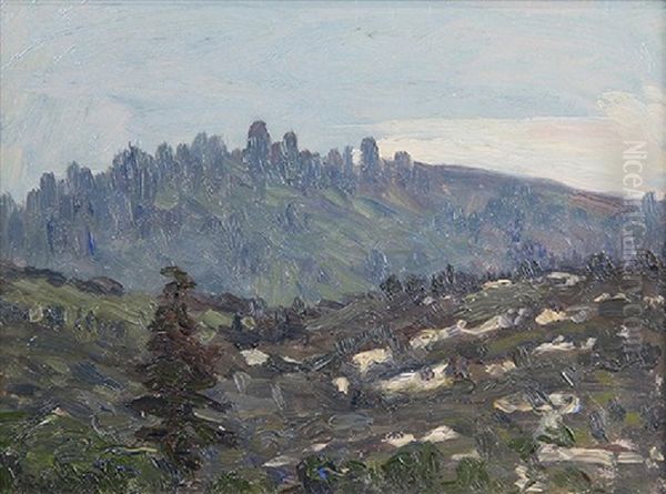 Ben Lomond Mountains - view 1