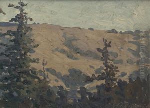 Mountain Landscape by Gottardo Piazzoni