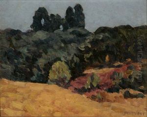 Trees In A Summer Landscape