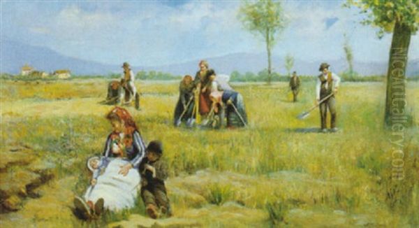Vita Nei Campi - view 1
