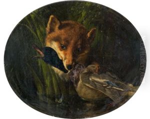 Renard Saisissant Un Col Vert by Oliver Pichat