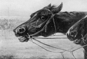 Le Vainqueur by Oliver Pichat