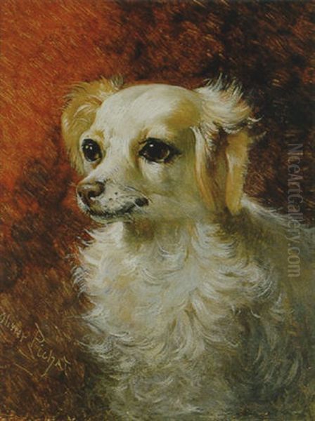 Hundeportrait - view 1