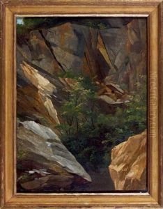Etude D'arbres Et De Rochers (study) by Auguste Pichon