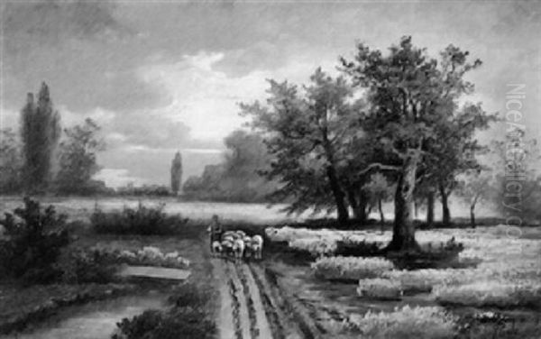 Luneburger Heide, Heideweg Bei Hermannsburg - view 1