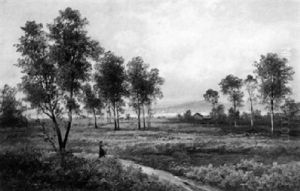Luneburger Heide, Motiv Bei Wendisch Evern Luneburger Heide, Motiv Bei Wendisch Evern