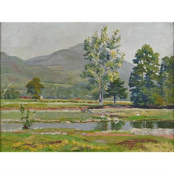 Landscape Stream - view 1