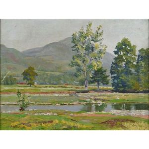 Landscape Stream Landscape Stream