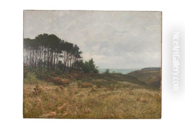 Coast Of France - view 1
