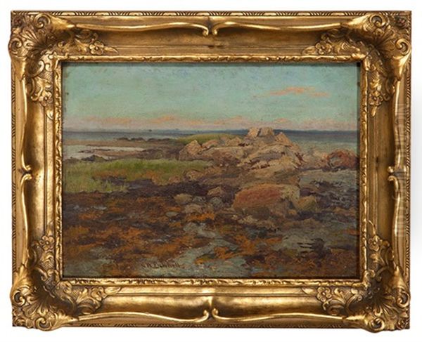 Coastal Landscape - view 1