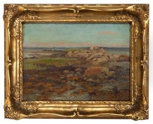 Coastal Landscape