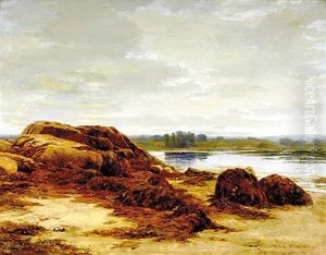 Rocky Coast