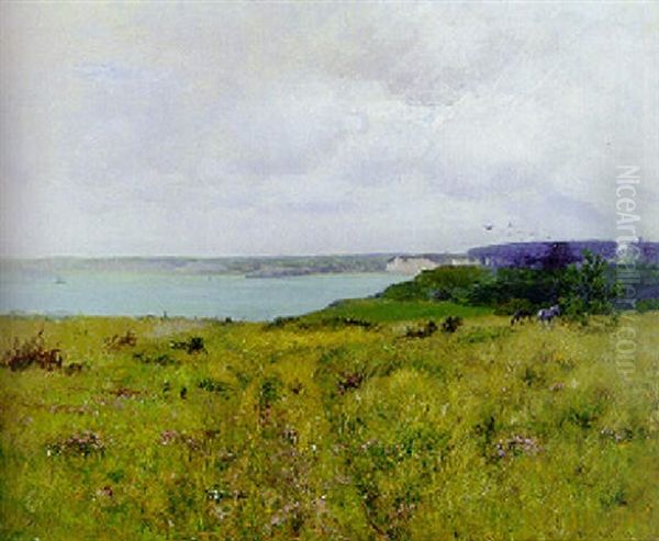 Meadow Path - view 1