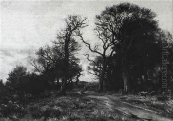 A Country Lane - view 1