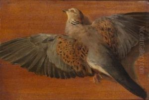 Nature Morte Au Colvert (+ Nature Morte Au Geai; 2 Works)