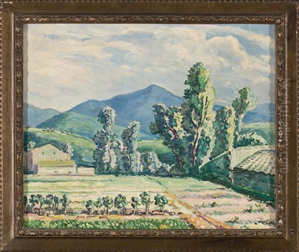 Montanya - view 1