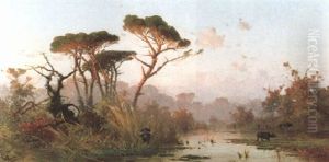 Buffelherde In Einer Sumpfigen Landschaft