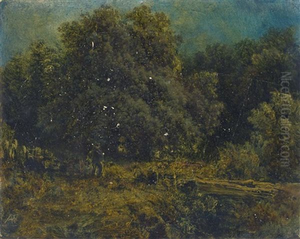 Waldstuck - view 1