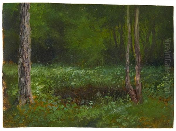 Lichtung Im Waldesinneren - view 1
