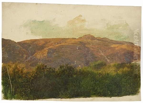 Weite Landschaft Im Riesengebirge (?) - view 1