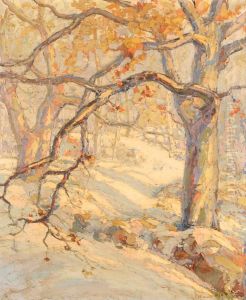 Trees In The Winter, Stamford, Connecticut