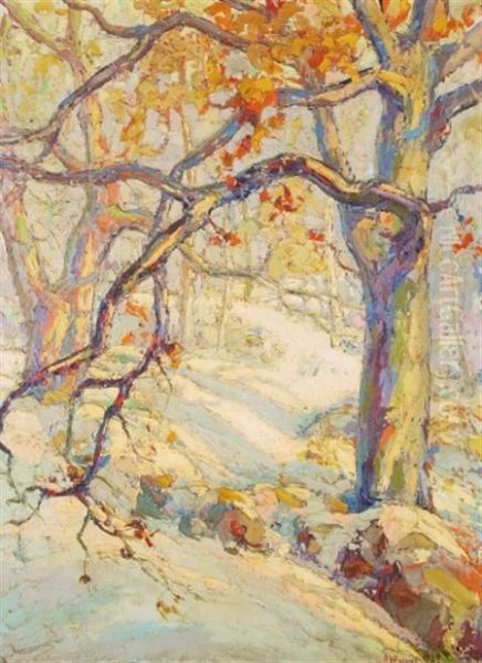 Forest Interior - view 1