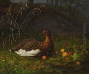 Ptarmigan And Cloudberry