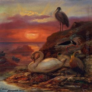 Birds In The Midnight Sun by Frants Diderik Boe