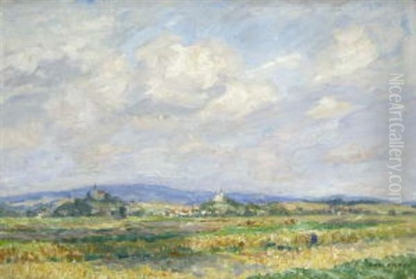 Weite Erntelandschaft - view 1