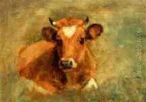 Portrait Of A Recumbent Cow by Charles Franklin Pierce