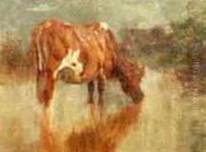 Portrait Of A Cow Drinking Water by Charles Franklin Pierce