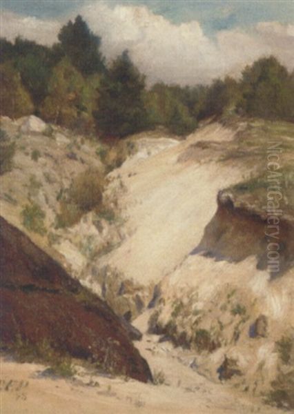 A Sunlit Ravine - view 1