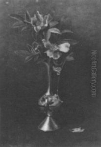 Still Life Still Life