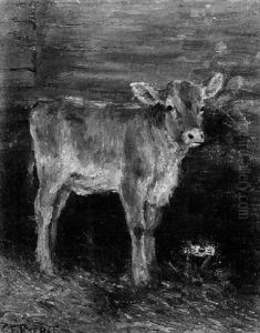 Cows Cows