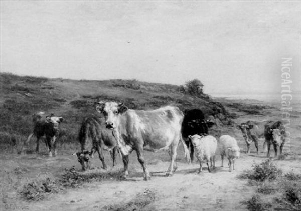 The Road To Pasture. Landscape With Cattle And Sheep - view 1