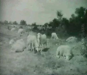 Enjoying Spring's Warmth/a Pasture View With Sheep by Charles Franklin Pierce